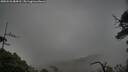 ./images/calvert/fitz-hugh-hecate/20250531/fitz-hugh-hecate20250531_084510M.jpg