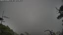 ./images/calvert/fitz-hugh-hecate/20250531/fitz-hugh-hecate20250531_085008M.jpg