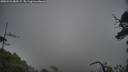 ./images/calvert/fitz-hugh-hecate/20250531/fitz-hugh-hecate20250531_085509M.jpg