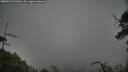 ./images/calvert/fitz-hugh-hecate/20250531/fitz-hugh-hecate20250531_091010M.jpg