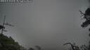 ./images/calvert/fitz-hugh-hecate/20250531/fitz-hugh-hecate20250531_091510M.jpg