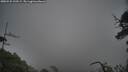 ./images/calvert/fitz-hugh-hecate/20250531/fitz-hugh-hecate20250531_100509M.jpg