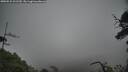./images/calvert/fitz-hugh-hecate/20250531/fitz-hugh-hecate20250531_101510M.jpg