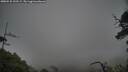 ./images/calvert/fitz-hugh-hecate/20250531/fitz-hugh-hecate20250531_102509M.jpg