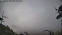 ./images/calvert/fitz-hugh-hecate/20250531/fitz-hugh-hecate20250531_110509M.jpg