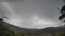 ./images/calvert/fitz-hugh-hecate/20250531/fitz-hugh-hecate20250531_111009M.jpg