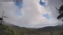 ./images/calvert/fitz-hugh-hecate/20250531/fitz-hugh-hecate20250531_111510M.jpg