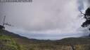 ./images/calvert/fitz-hugh-hecate/20250531/fitz-hugh-hecate20250531_112509M.jpg