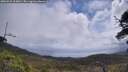 ./images/calvert/fitz-hugh-hecate/20250531/fitz-hugh-hecate20250531_113011M.jpg