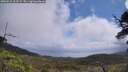 ./images/calvert/fitz-hugh-hecate/20250531/fitz-hugh-hecate20250531_113509M.jpg