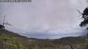 ./images/calvert/fitz-hugh-hecate/20250531/fitz-hugh-hecate20250531_114010M.jpg