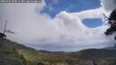 ./images/calvert/fitz-hugh-hecate/20250531/fitz-hugh-hecate20250531_114509M.jpg