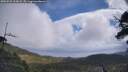 ./images/calvert/fitz-hugh-hecate/20250531/fitz-hugh-hecate20250531_115008M.jpg