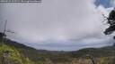 ./images/calvert/fitz-hugh-hecate/20250531/fitz-hugh-hecate20250531_115509M.jpg