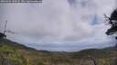 ./images/calvert/fitz-hugh-hecate/20250531/fitz-hugh-hecate20250531_120508M.jpg