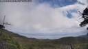 ./images/calvert/fitz-hugh-hecate/20250531/fitz-hugh-hecate20250531_121009M.jpg