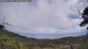 ./images/calvert/fitz-hugh-hecate/20250531/fitz-hugh-hecate20250531_121507M.jpg