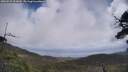 ./images/calvert/fitz-hugh-hecate/20250531/fitz-hugh-hecate20250531_122010M.jpg