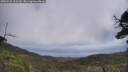 ./images/calvert/fitz-hugh-hecate/20250531/fitz-hugh-hecate20250531_122509M.jpg