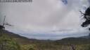 ./images/calvert/fitz-hugh-hecate/20250531/fitz-hugh-hecate20250531_123009M.jpg