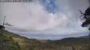 ./images/calvert/fitz-hugh-hecate/20250531/fitz-hugh-hecate20250531_124009M.jpg