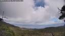./images/calvert/fitz-hugh-hecate/20250531/fitz-hugh-hecate20250531_124510M.jpg
