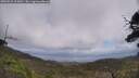 ./images/calvert/fitz-hugh-hecate/20250531/fitz-hugh-hecate20250531_125010M.jpg