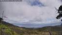 ./images/calvert/fitz-hugh-hecate/20250531/fitz-hugh-hecate20250531_125509M.jpg