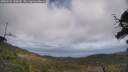 ./images/calvert/fitz-hugh-hecate/20250531/fitz-hugh-hecate20250531_130010M.jpg
