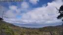 ./images/calvert/fitz-hugh-hecate/20250531/fitz-hugh-hecate20250531_131509M.jpg