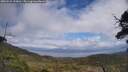./images/calvert/fitz-hugh-hecate/20250531/fitz-hugh-hecate20250531_133010M.jpg