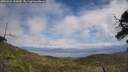 ./images/calvert/fitz-hugh-hecate/20250531/fitz-hugh-hecate20250531_135010M.jpg