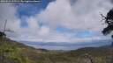 ./images/calvert/fitz-hugh-hecate/20250531/fitz-hugh-hecate20250531_135509M.jpg