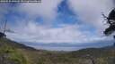 ./images/calvert/fitz-hugh-hecate/20250531/fitz-hugh-hecate20250531_140509M.jpg