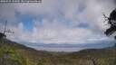 ./images/calvert/fitz-hugh-hecate/20250531/fitz-hugh-hecate20250531_141010M.jpg