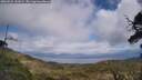 ./images/calvert/fitz-hugh-hecate/20250531/fitz-hugh-hecate20250531_142009M.jpg