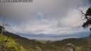 ./images/calvert/fitz-hugh-hecate/20250531/fitz-hugh-hecate20250531_142509M.jpg