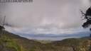 ./images/calvert/fitz-hugh-hecate/20250531/fitz-hugh-hecate20250531_143009M.jpg