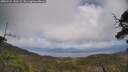 ./images/calvert/fitz-hugh-hecate/20250531/fitz-hugh-hecate20250531_143509M.jpg