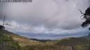 ./images/calvert/fitz-hugh-hecate/20250531/fitz-hugh-hecate20250531_144009M.jpg