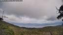 ./images/calvert/fitz-hugh-hecate/20250531/fitz-hugh-hecate20250531_144510M.jpg