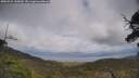 ./images/calvert/fitz-hugh-hecate/20250531/fitz-hugh-hecate20250531_145010M.jpg