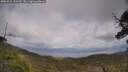 ./images/calvert/fitz-hugh-hecate/20250531/fitz-hugh-hecate20250531_145510M.jpg