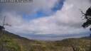 ./images/calvert/fitz-hugh-hecate/20250531/fitz-hugh-hecate20250531_150010M.jpg