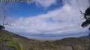 ./images/calvert/fitz-hugh-hecate/20250531/fitz-hugh-hecate20250531_151010M.jpg