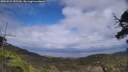 ./images/calvert/fitz-hugh-hecate/20250531/fitz-hugh-hecate20250531_151510M.jpg
