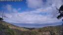 ./images/calvert/fitz-hugh-hecate/20250531/fitz-hugh-hecate20250531_152510M.jpg