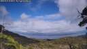 ./images/calvert/fitz-hugh-hecate/20250531/fitz-hugh-hecate20250531_153010M.jpg