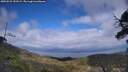 ./images/calvert/fitz-hugh-hecate/20250531/fitz-hugh-hecate20250531_153509M.jpg
