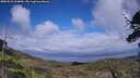 ./images/calvert/fitz-hugh-hecate/20250531/fitz-hugh-hecate20250531_154010M.jpg